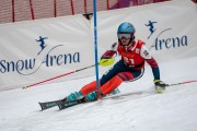 FIS Baltijas kauss 2025 1.posms, FIS slaloms, Foto: E.Lukšo