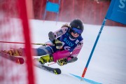 FIS NJR Val di Fassa SKILV sacensības GS, Foto: E.Lukšo