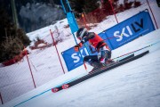 FIS NJR Val di Fassa SKILV sacensības GS, Foto: E.Lukšo