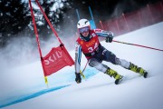 FIS NJR Val di Fassa SKILV sacensības GS, Foto: E.Lukšo