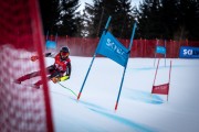 FIS NJR Val di Fassa SKILV sacensības GS, Foto: E.Lukšo