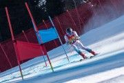 FIS NJR Val di Fassa SKILV sacensības GS, Foto: E.Lukšo