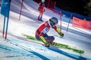 FIS NJR Val di Fassa SKILV sacensības GS, Foto: E.Lukšo