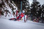 FIS NJR Val di Fassa SKILV sacensības SL, Foto: E.Lukšo