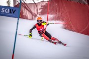 FIS NJR Val di Fassa SKILV sacensības SL, Foto: E.Lukšo