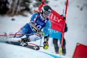 FIS Baltijas kauss 2025 2. posms elitei, GS, Foto: E.Lukšo