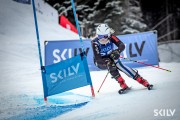 FIS Baltijas kauss 2025 2. posms elitei, GS, Foto: E.Lukšo