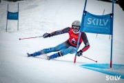 FIS Baltijas kauss 2025 2. posms elitei, GS, Foto: E.Lukšo