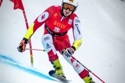 FIS Baltijas kauss 2025 2. posms elitei, GS, Foto: E.Lukšo