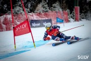 FIS Baltijas kauss 2025 2. posms elitei, GS, Foto: E.Lukšo