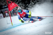 FIS Baltijas kauss 2025 2. posms elitei, GS, Foto: E.Lukšo