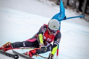 FIS Baltijas kauss 2025 2. posms elitei, GS, Foto: E.Lukšo