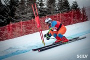 FIS Baltijas kauss 2025 2. posms elitei, GS, Foto: E.Lukšo