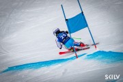 FIS Baltijas kauss 2025 2. posms elitei, GS, Foto: E.Lukšo