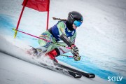 FIS Baltijas kauss 2025 2. posms elitei, GS, Foto: E.Lukšo