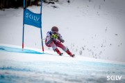 FIS Baltijas kauss 2025 2. posms elitei, GS, Foto: E.Lukšo