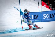 FIS Baltijas kauss 2025 2. posms elitei, GS, Foto: E.Lukšo