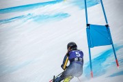 FIS Baltijas kauss 2025 2. posms elitei, GS, Foto: E.Lukšo