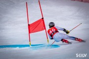 FIS Baltijas kauss 2025 2. posms elitei, GS, Foto: E.Lukšo