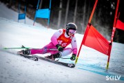 FIS Baltijas kauss 2025 2. posms elitei, GS, Foto: E.Lukšo