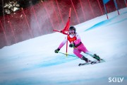 FIS Baltijas kauss 2025 2. posms elitei, GS, Foto: E.Lukšo
