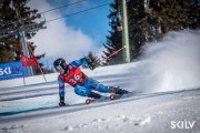 FIS Baltijas kauss 2025 2. posms elitei, GS, Foto: E.Lukšo