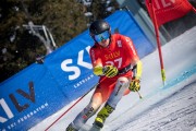 FIS Baltijas kauss 2025 2. posms elitei, GS, Foto: E.Lukšo
