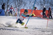 FIS Baltijas kauss 2025 5. posms elitei, SL, Foto: E.Lukšo