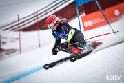 FIS Baltijas kauss 2025 5. posms jauniešiem, GS, Foto: E.Lukšo