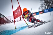 FIS Baltijas kauss 2025 5. posms jauniešiem, GS, Foto: E.Lukšo