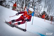 FIS Baltijas kauss 2025 5. posms jauniešiem, GS, Foto: E.Lukšo