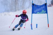 Vilciņa kauss 2025, 4.posms, Foto: S.Meldere