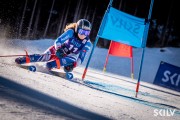 FIS NJR Val di Fassa SKILV GS, Foto: E.Lukšo