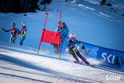 FIS NJR Val di Fassa SKILV GS, Foto: E.Lukšo