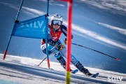 FIS NJR Val di Fassa SKILV GS, Foto: E.Lukšo