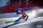 FIS NJR Val di Fassa SKILV GS, Foto: E.Lukšo