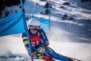 FIS NJR Val di Fassa SKILV GS, Foto: E.Lukšo