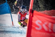 FIS NJR Val di Fassa SKILV GS, Foto: E.Lukšo