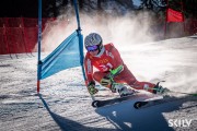 FIS NJR Val di Fassa SKILV GS, Foto: E.Lukšo