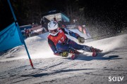 FIS NJR Val di Fassa SKILV GS, Foto: E.Lukšo