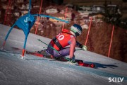 FIS NJR Val di Fassa SKILV GS, Foto: E.Lukšo