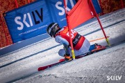 FIS NJR Val di Fassa SKILV GS, Foto: E.Lukšo