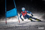 FIS NJR Val di Fassa SKILV GS, Foto: E.Lukšo