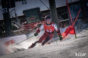 FIS NJR Val di Fassa SKILV GS, Foto: E.Lukšo