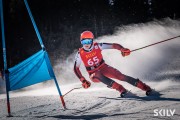 FIS NJR Val di Fassa SKILV GS, Foto: E.Lukšo