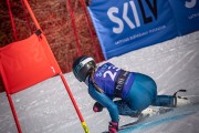 FIS NJR Val di Fassa SKILV GS, Foto: E.Lukšo