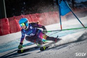 FIS NJR Val di Fassa SKILV GS, Foto: E.Lukšo