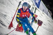 FIS NJR Val di Fassa SKILV GS, Foto: E.Lukšo