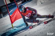 FIS NJR Val di Fassa SKILV GS, Foto: E.Lukšo