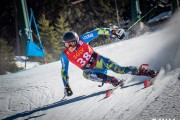 FIS NJR Val di Fassa SKILV GS, Foto: E.Lukšo